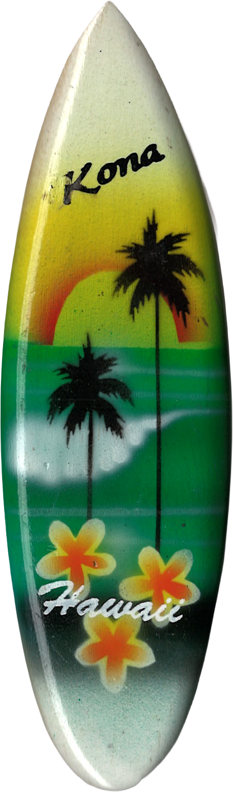 Hawaii Surfboard